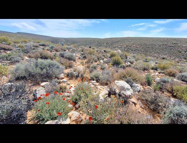 FARM FOR SALE IN CERES RURAL